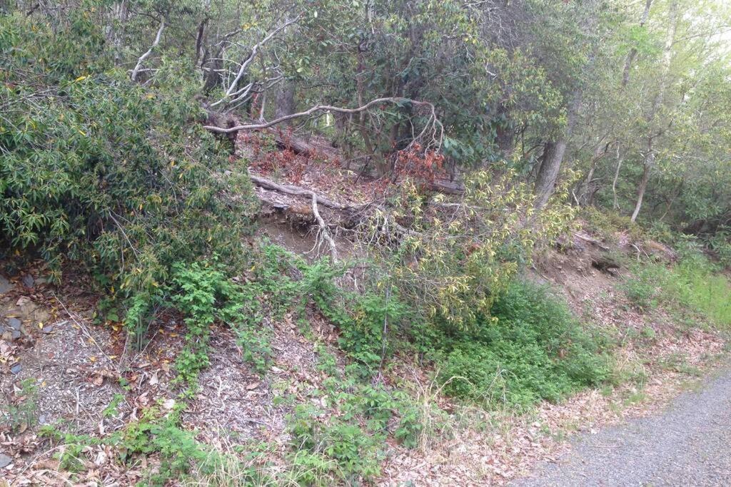 Fox Trot Cabin Meadows of Dan Luaran gambar